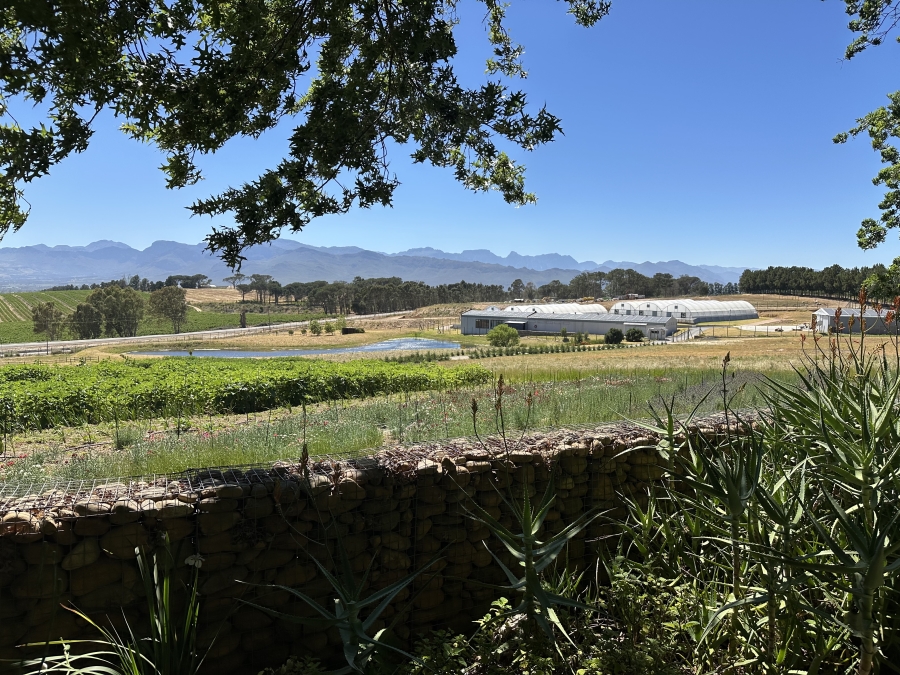 Commercial Property for Sale in Klapmuts Western Cape